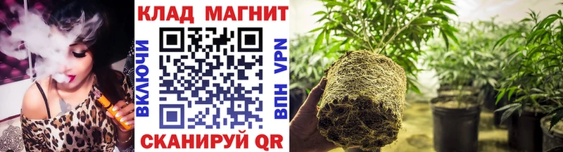 Где найти наркотики Кизел Метадон  Меф мяу мяу  Марихуана 