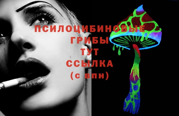 меф Новодвинск