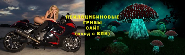 меф Новодвинск
