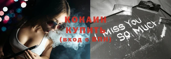 гашик Апатиты