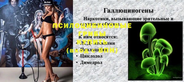 стафф Новозыбков