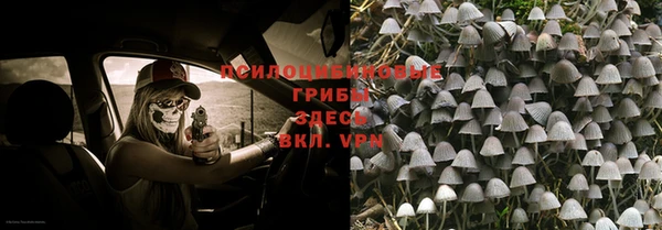 амф Нея